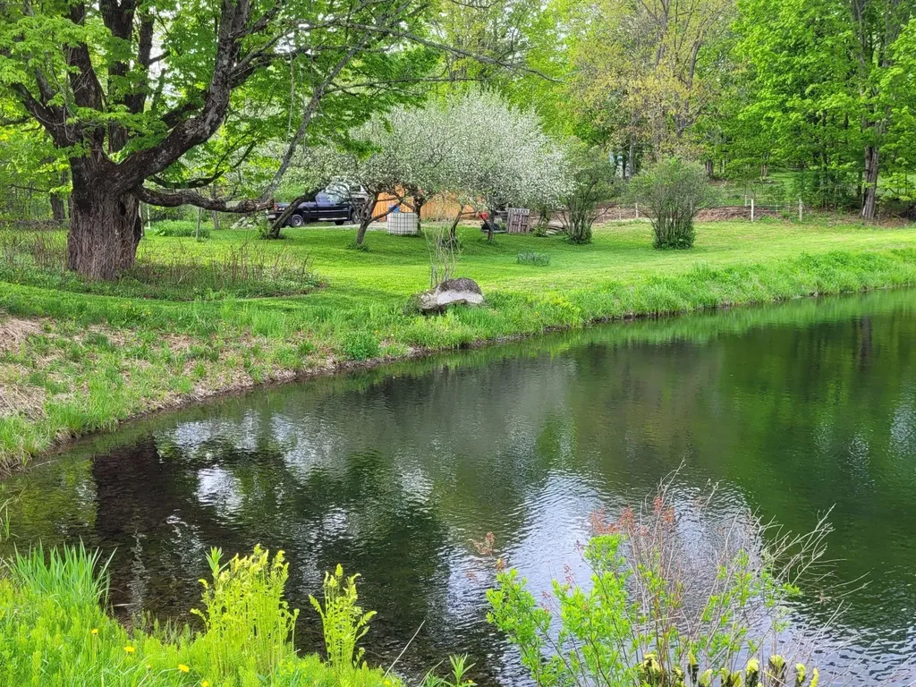 364 Coits Pond Road Cabot VT 05647