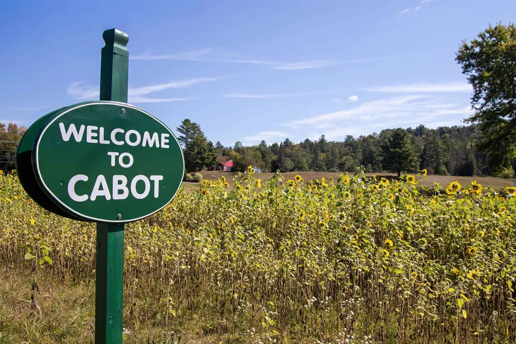 364 Coits Pond Road Cabot VT 05647
