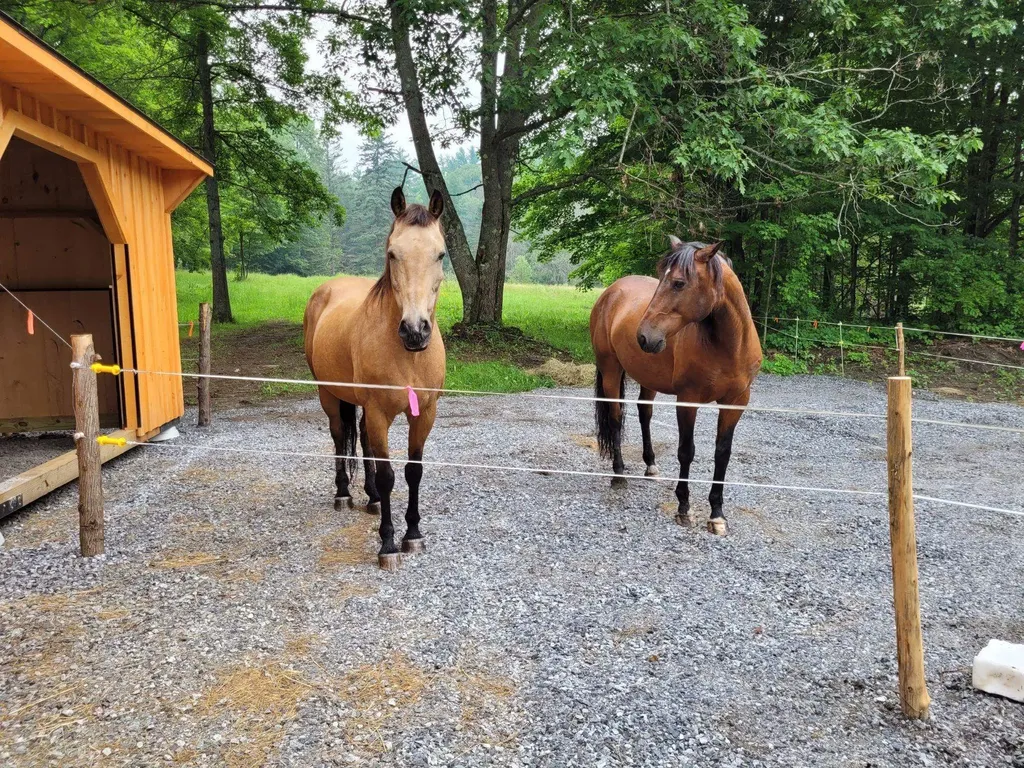 364 Coits Pond Road Cabot VT 05647