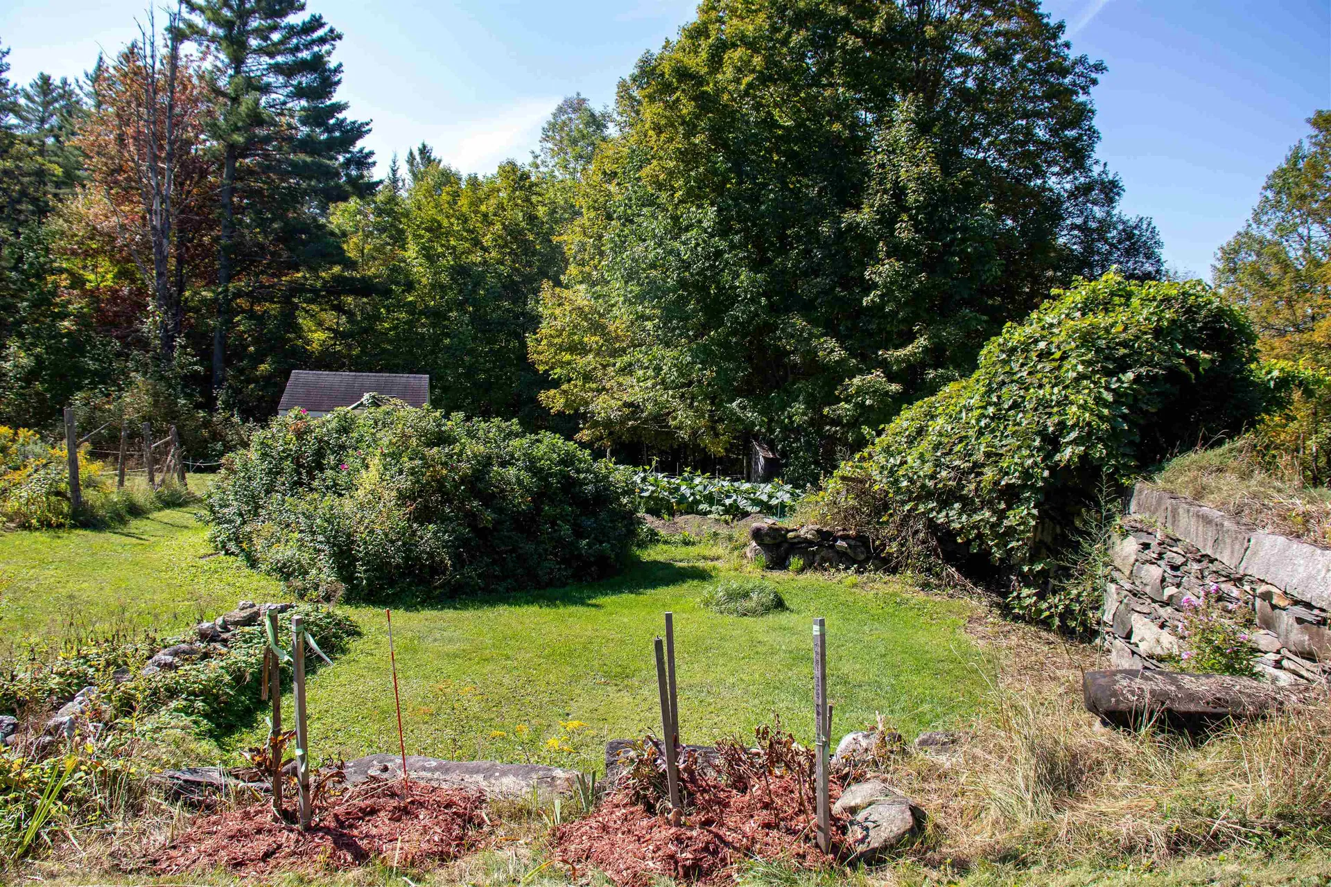 364 Coits Pond Road Cabot VT 05647