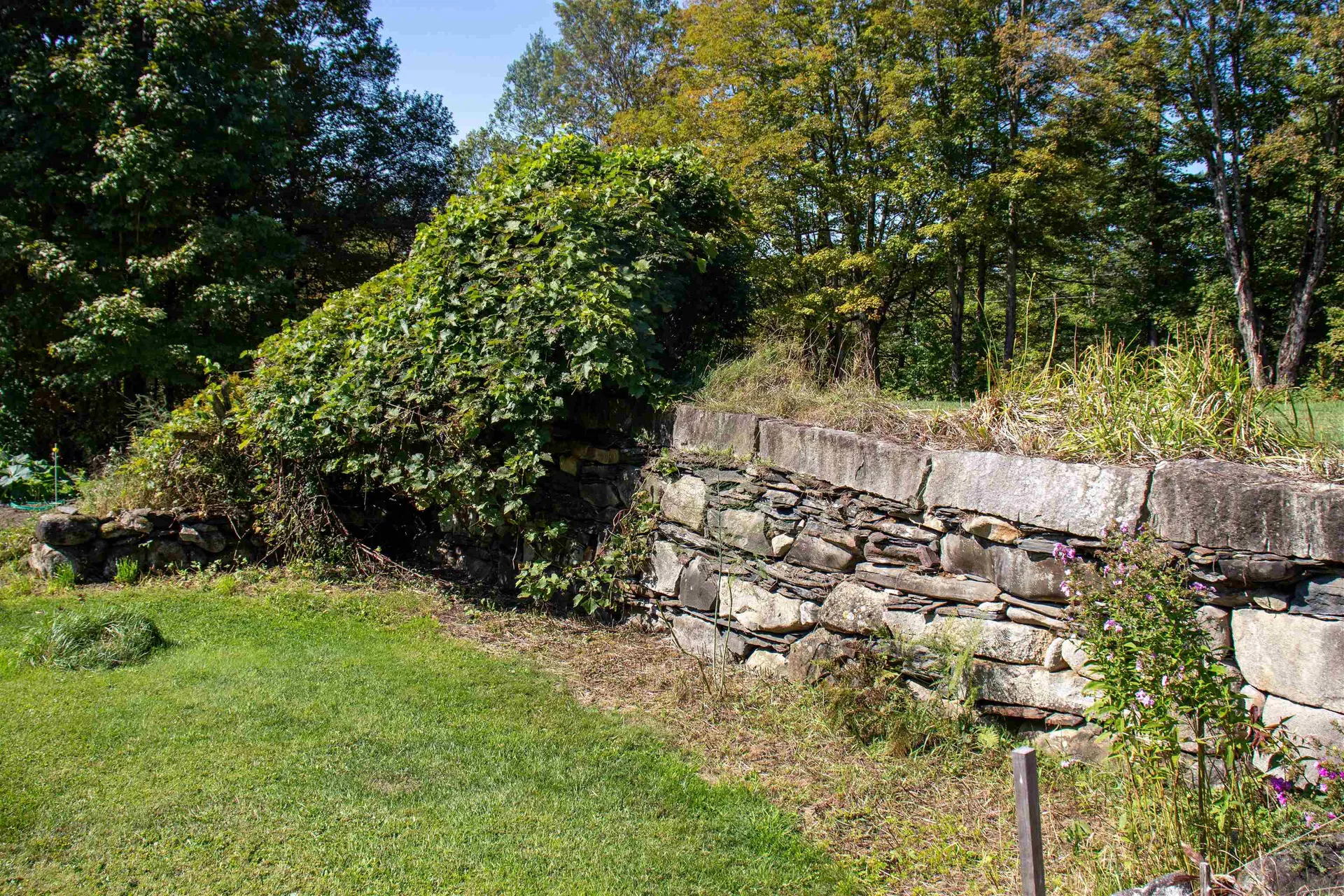 364 Coits Pond Road Cabot VT 05647