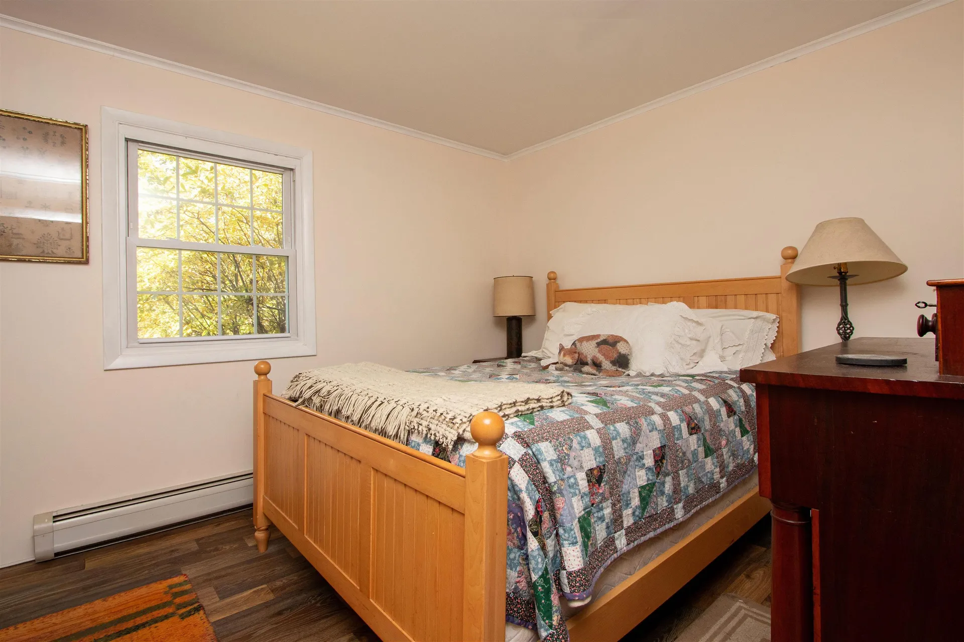 364 Coits Pond Road Cabot VT 05647