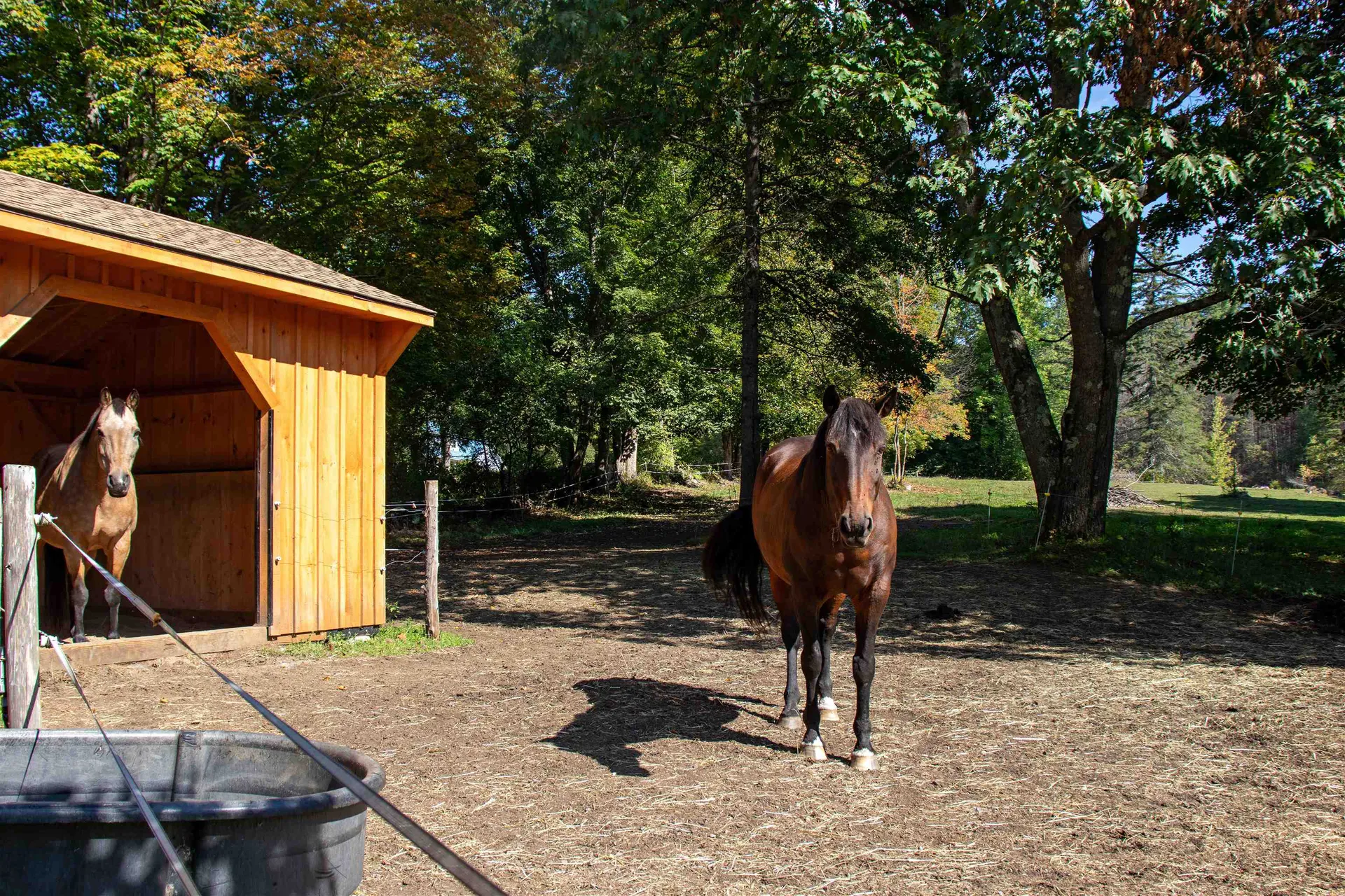 364 Coits Pond Road Cabot VT 05647