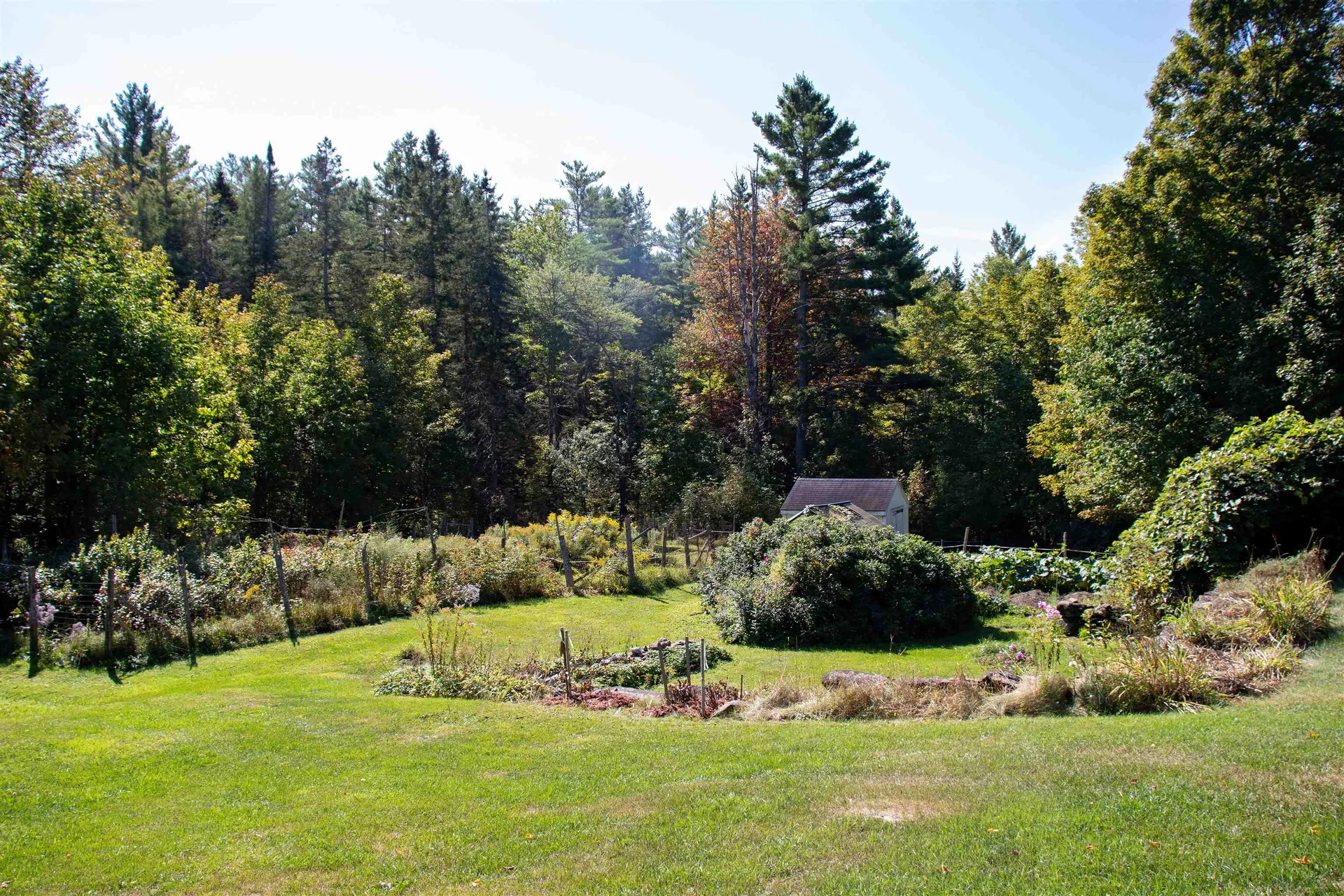 364 Coits Pond Road Cabot VT 05647