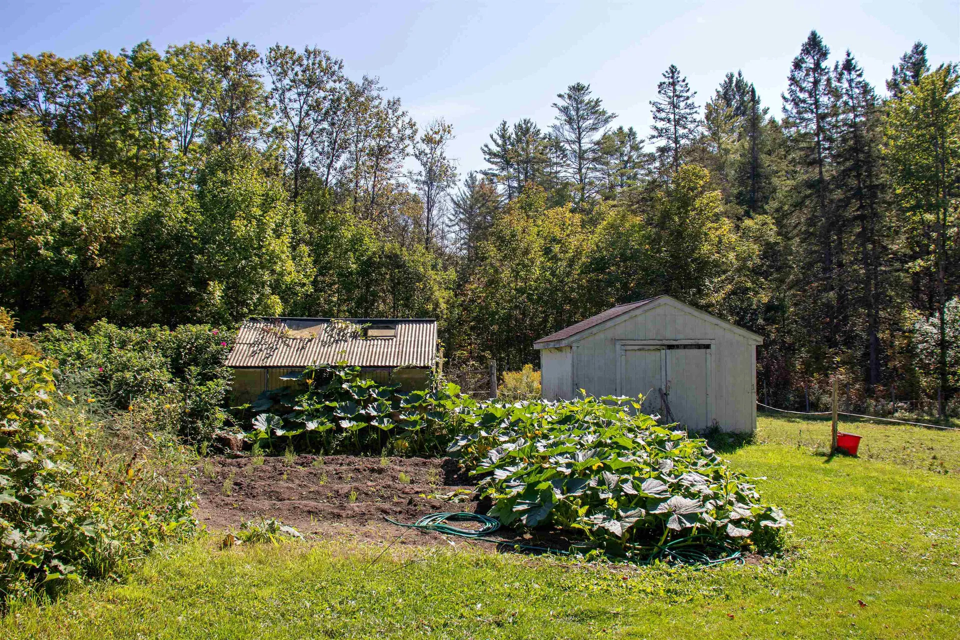364 Coits Pond Road Cabot VT 05647