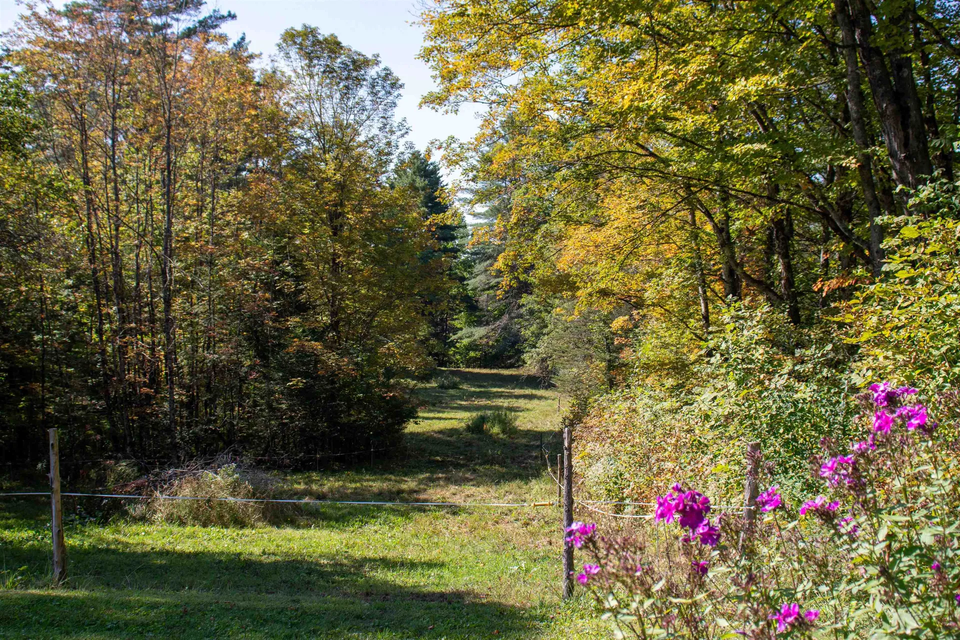 364 Coits Pond Road Cabot VT 05647