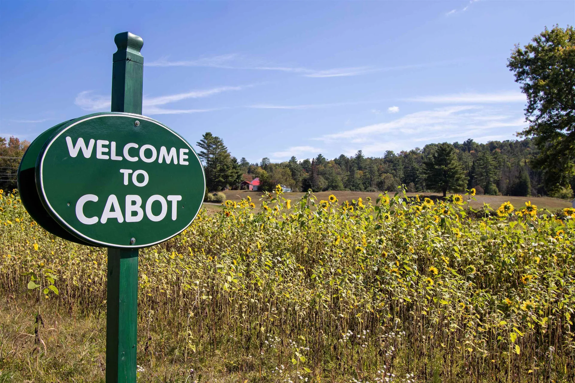 364 Coits Pond Road Cabot VT 05647