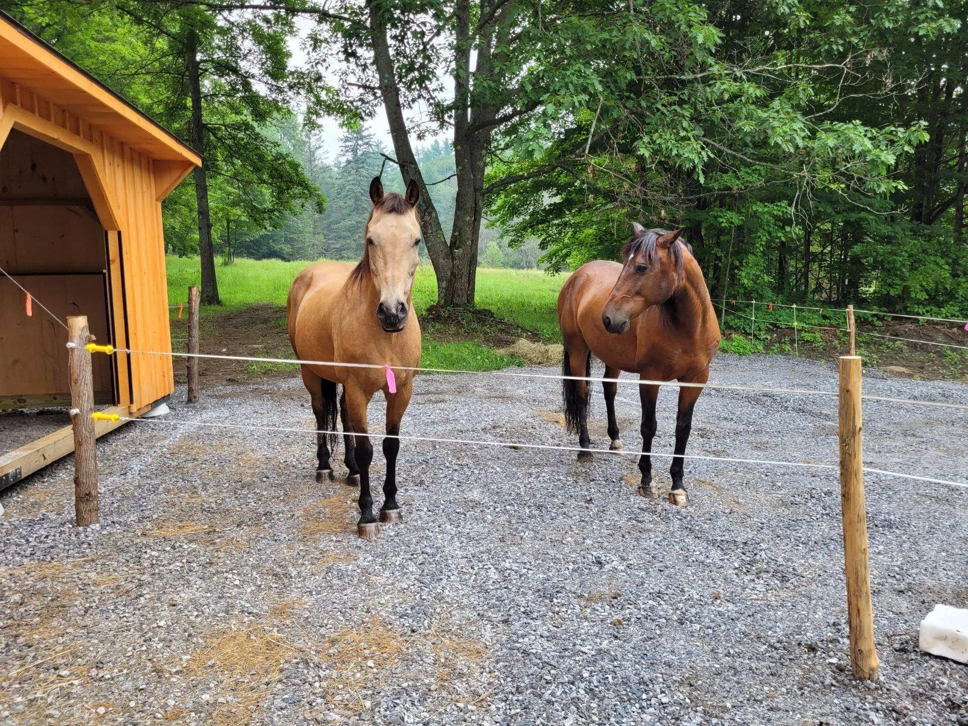 364 Coits Pond Road Cabot VT 05647