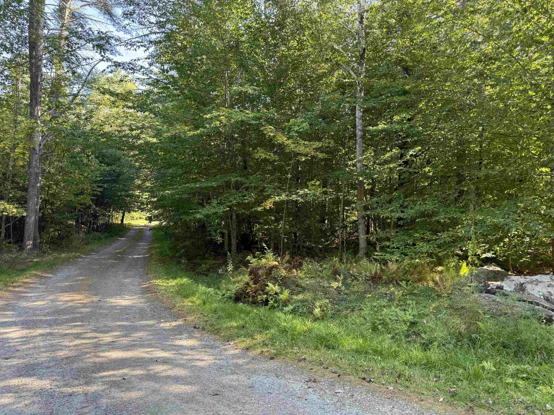 1470 Flamstead Road Chester VT 05143