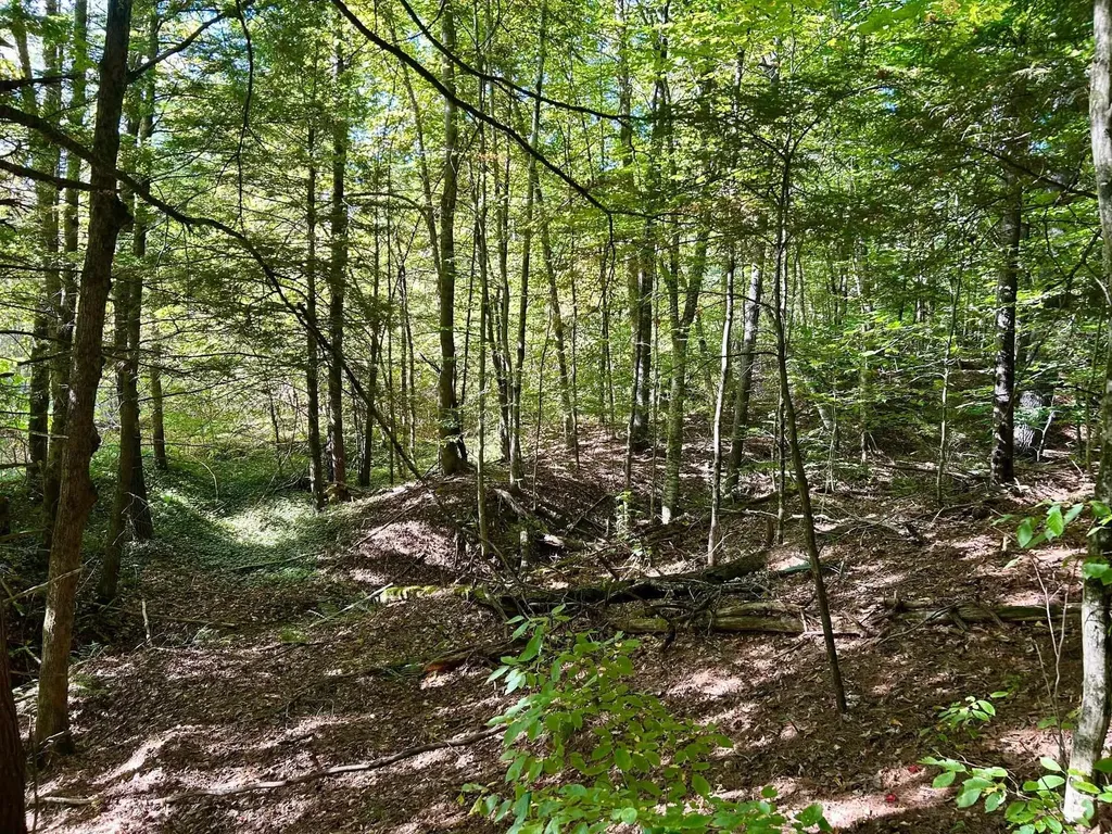 2453 Stock Farm Road Randolph VT 05060