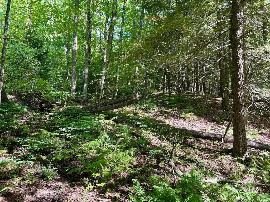 2453 Stock Farm Road Randolph VT 05060