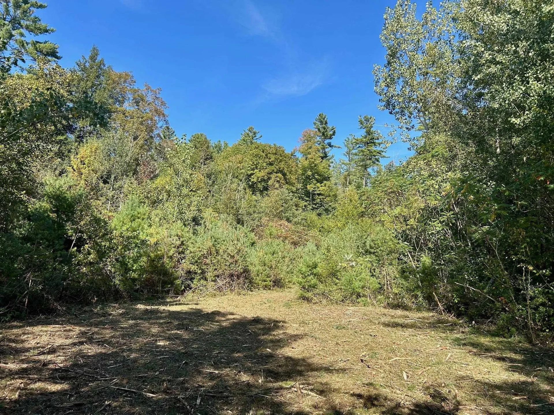 2453 Stock Farm Road Randolph VT 05060