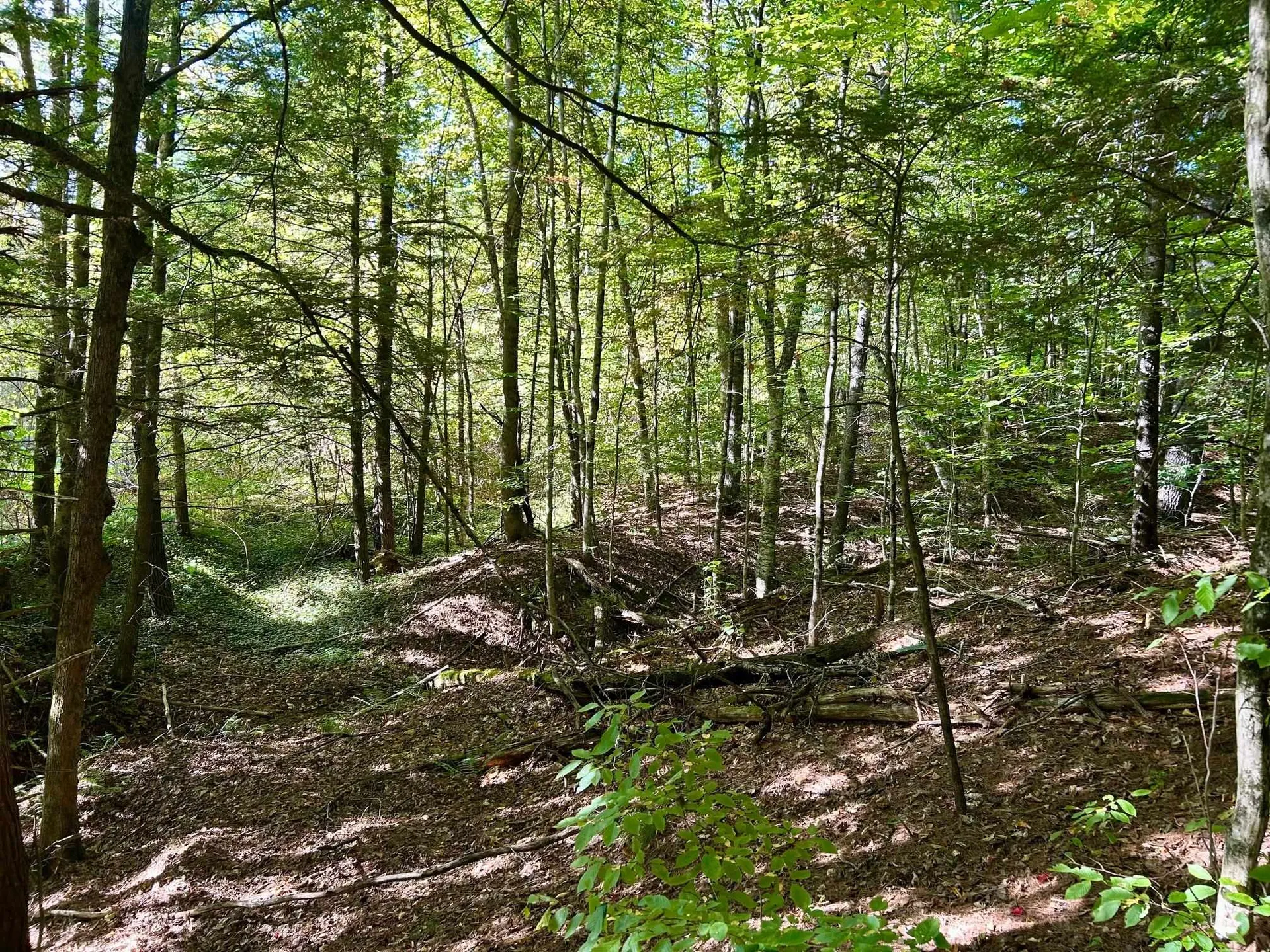 2453 Stock Farm Road Randolph VT 05060