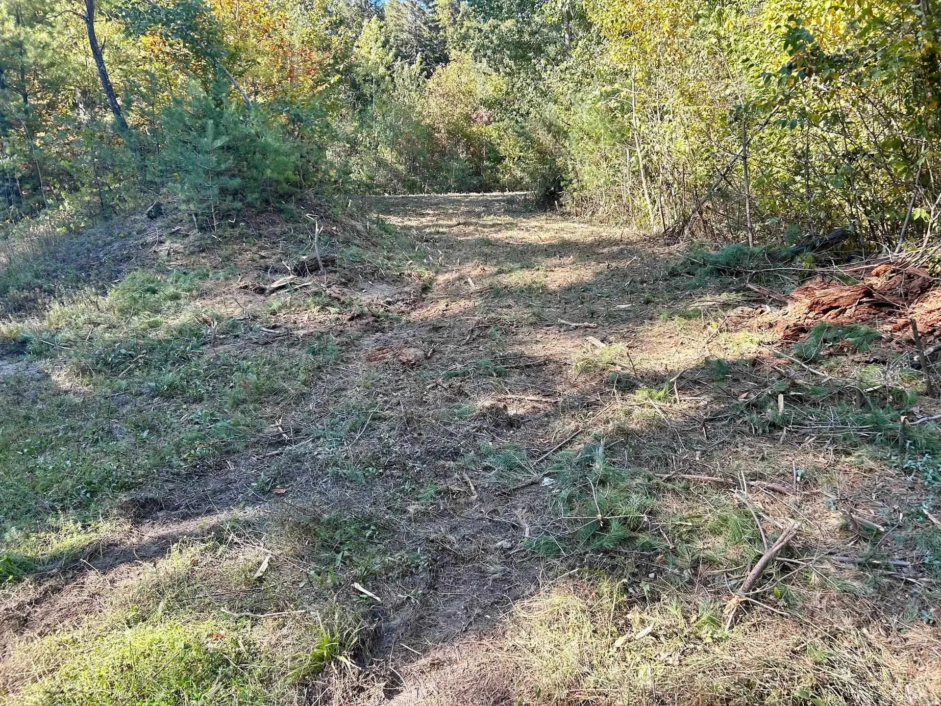 2453 Stock Farm Road Randolph VT 05060