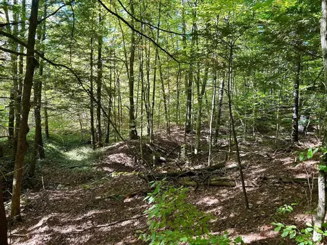 2453 Stock Farm Road Randolph VT 05060