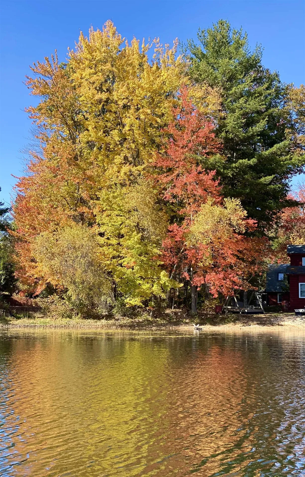 19 Mirror Lake Drive Tuftonboro NH 03853
