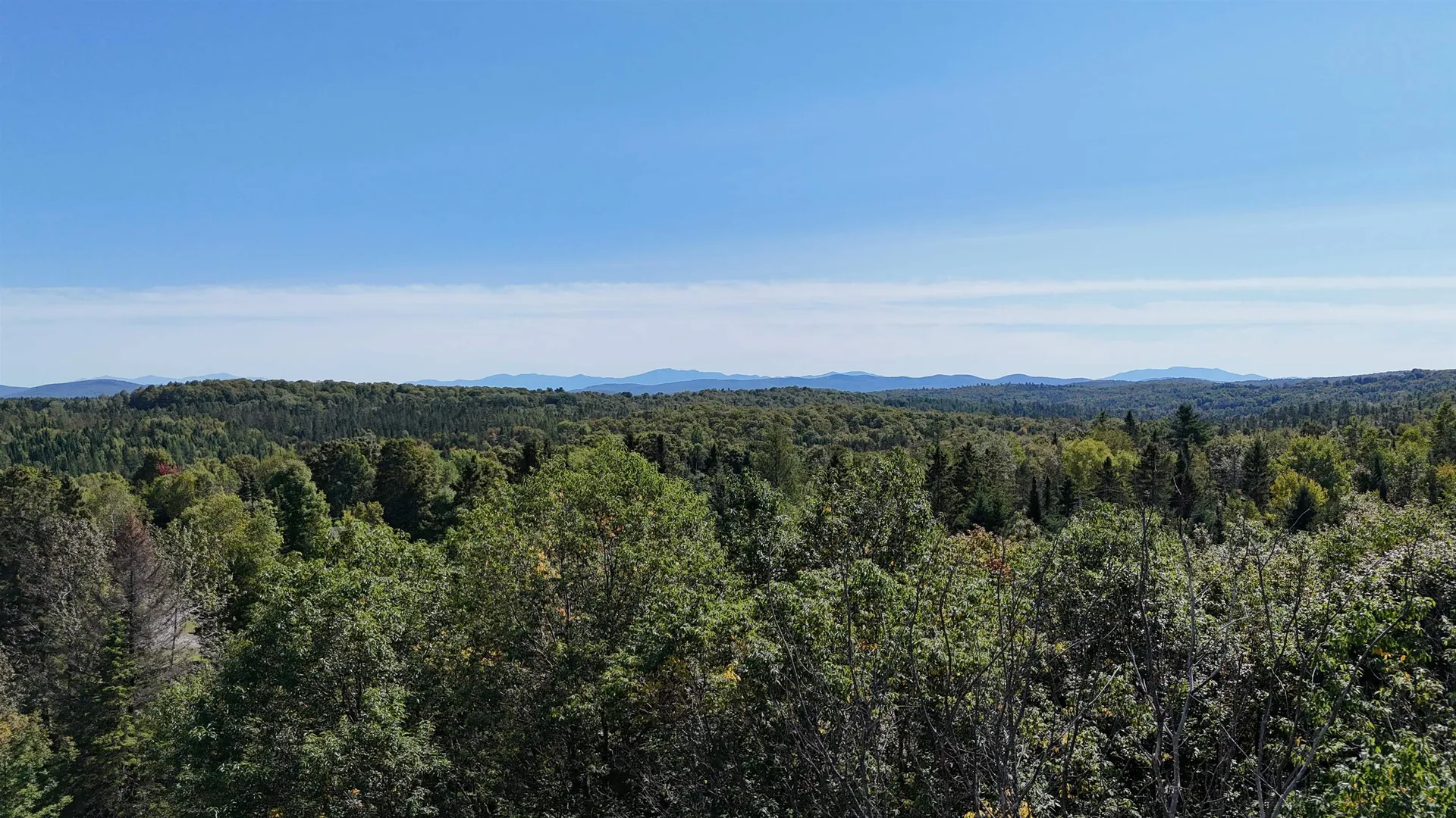 1111 Peacham Road Danville VT 05828