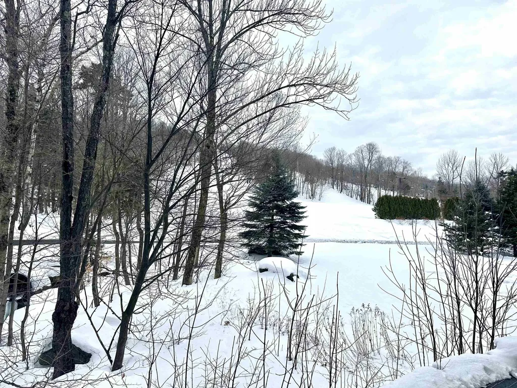 111, Qtr 3, 89 Grand Summit Way Dover VT 05356