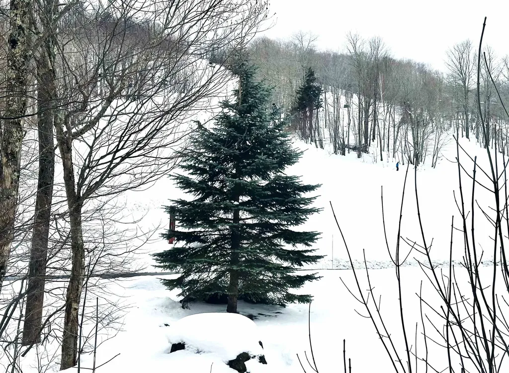 111, Qtr 3, 89 Grand Summit Way Dover VT 05356
