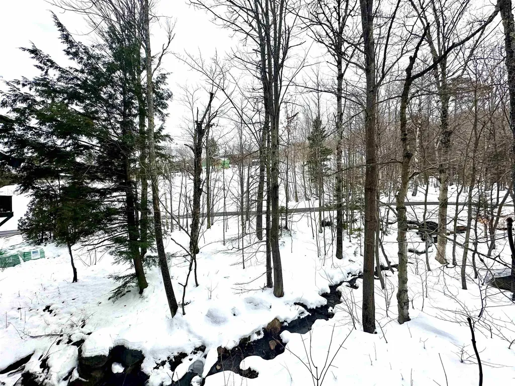 111, Qtr 3, 89 Grand Summit Way Dover VT 05356