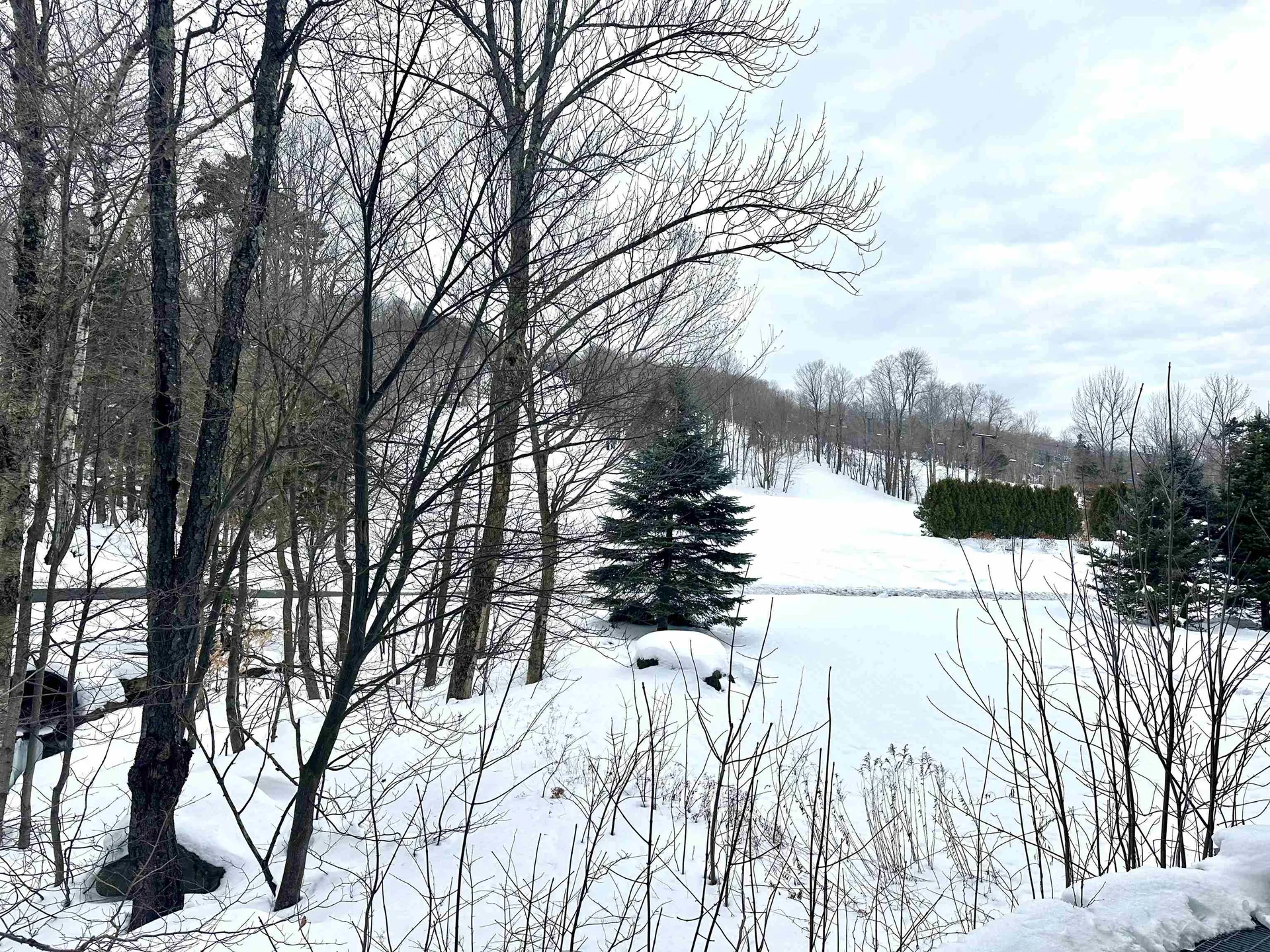 111, Qtr 3, 89 Grand Summit Way Dover VT 05356