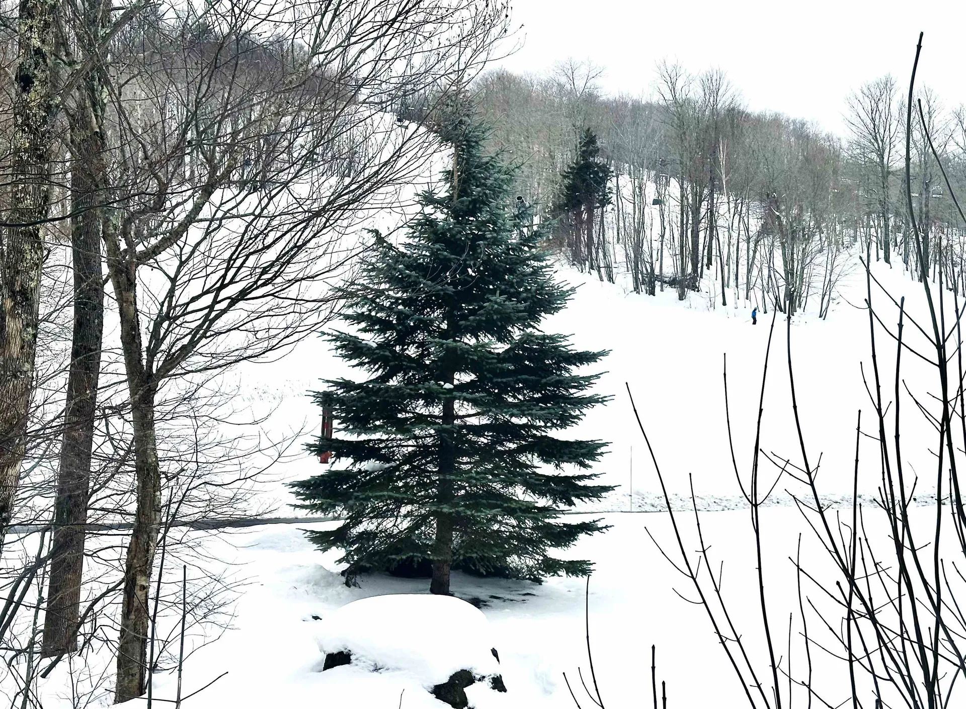111, Qtr 3, 89 Grand Summit Way Dover VT 05356