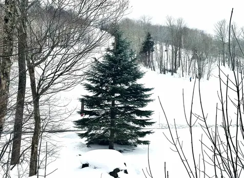 111, Qtr 3, 89 Grand Summit Way Dover VT 05356