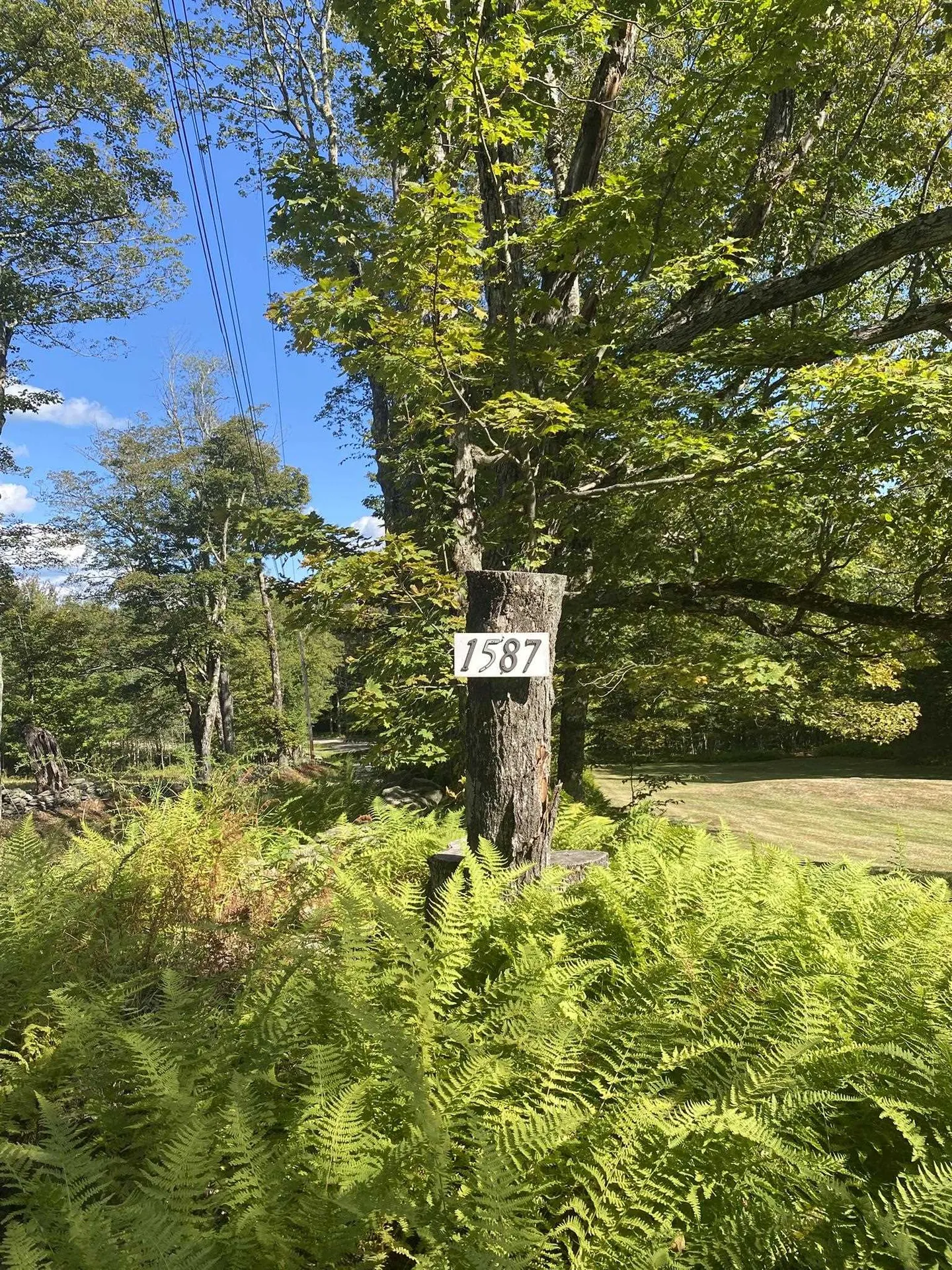 1587 Upper Holbrook Road Whitingham VT 05361