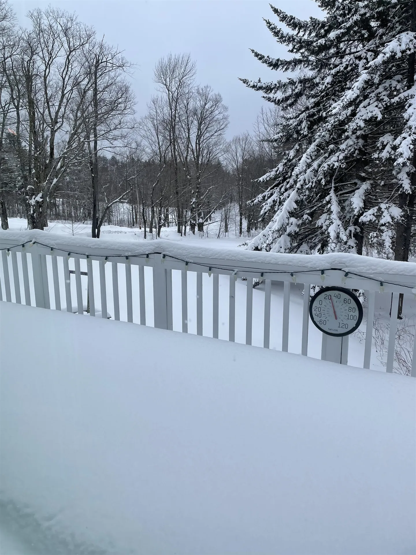 1587 Upper Holbrook Road Whitingham VT 05361