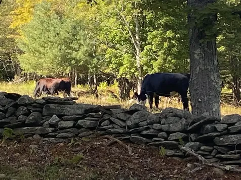 1587 Upper Holbrook Road Whitingham VT 05361