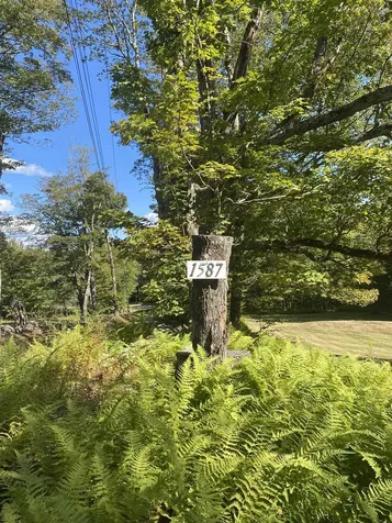 1587 Upper Holbrook Road Whitingham VT 05361