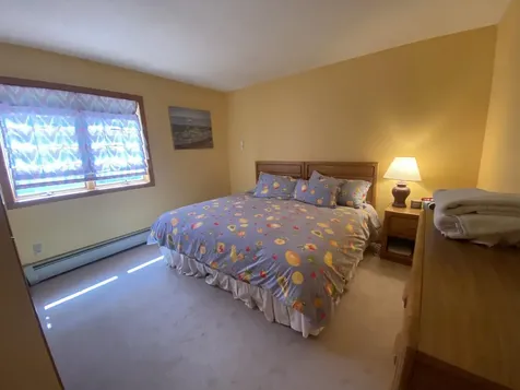 11 Dutchman Lane Wilmington VT 05363