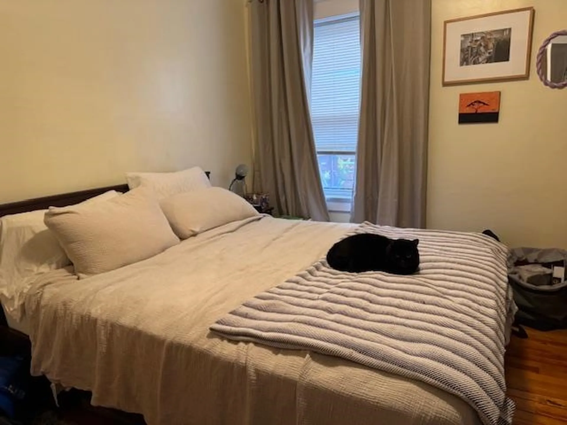 111 Weaver Street Winooski VT 05404