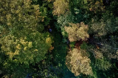 95 Molly Supple Hill Road Middlesex VT 05602