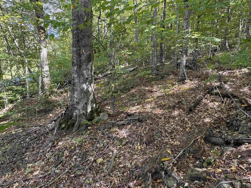 0 Taylor Drive Campton NH 03223