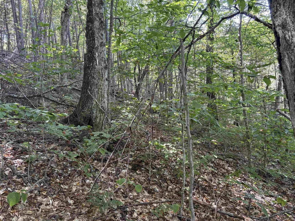 0 Taylor Drive Campton NH 03223