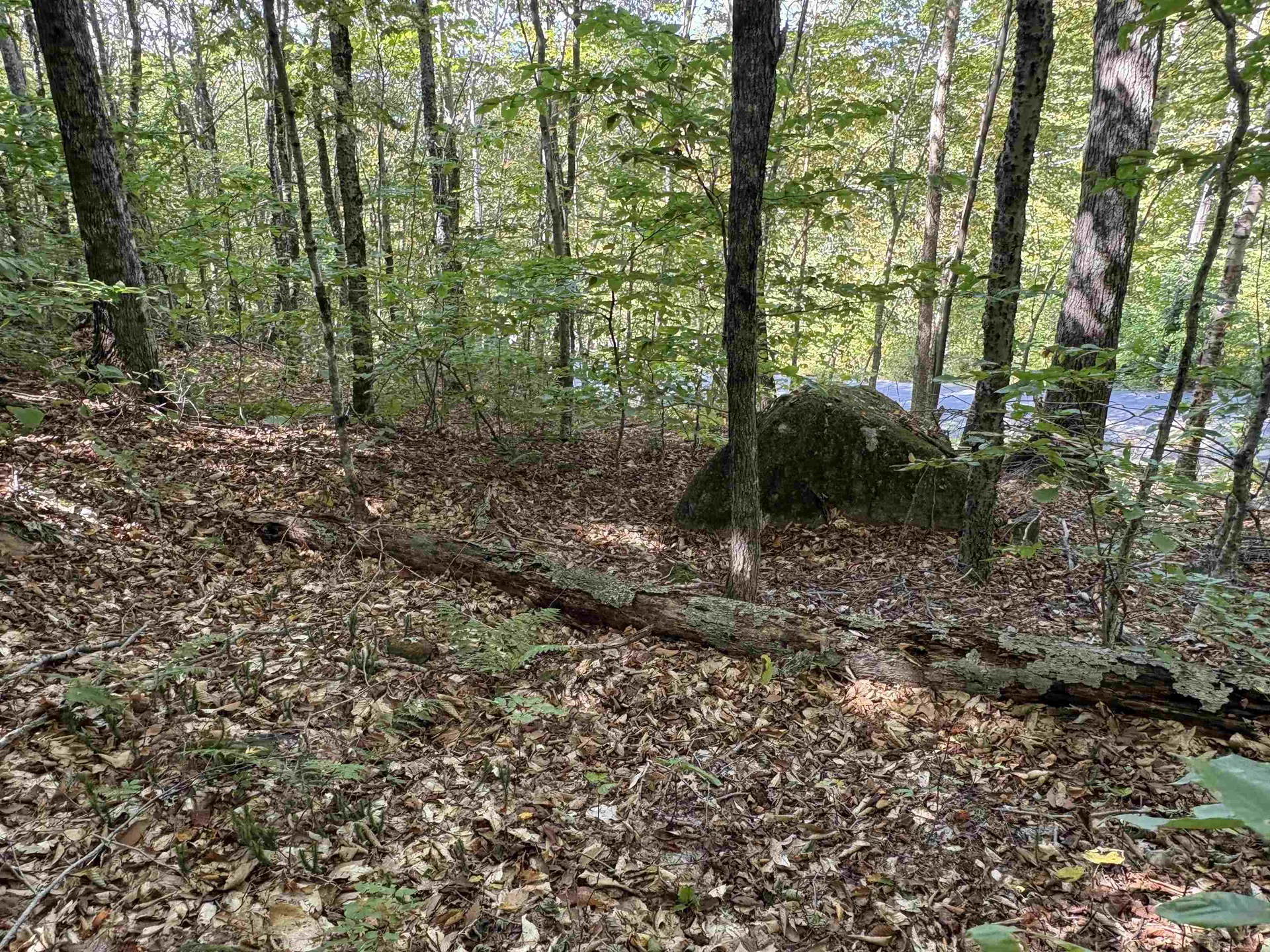 0 Taylor Drive Campton NH 03223