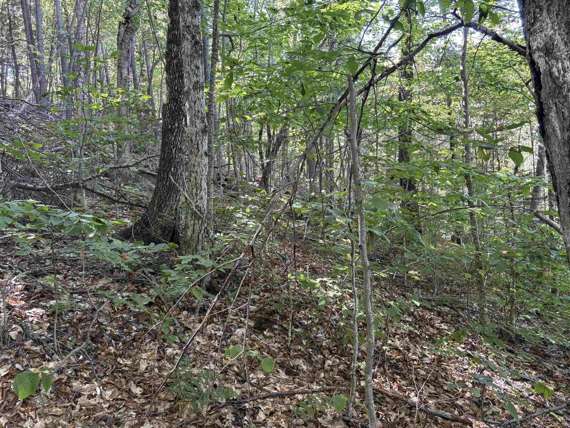 0 Taylor Drive Campton NH 03223