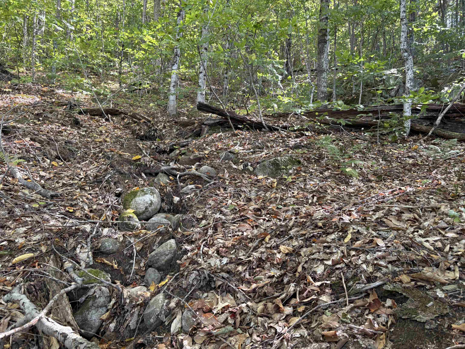 0 Taylor Drive Campton NH 03223