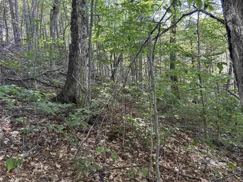 0 Taylor Drive Campton NH 03223