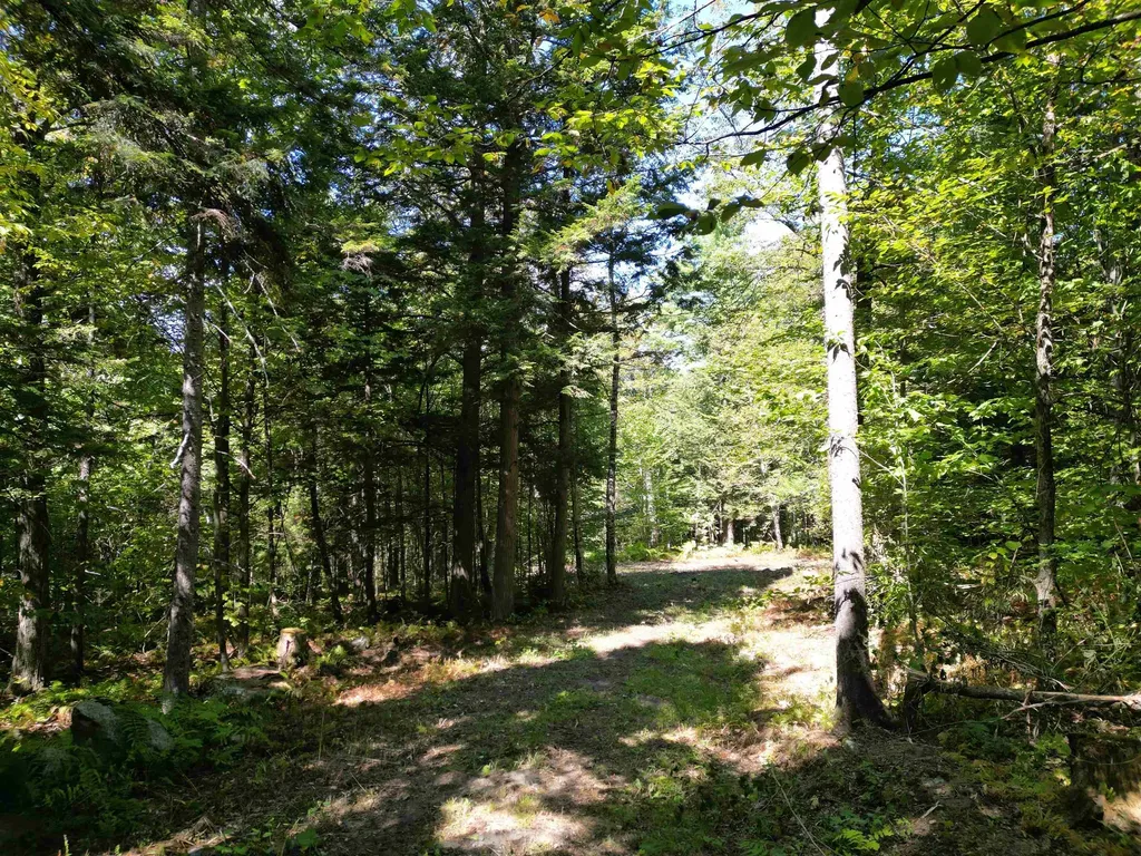 0 Angell Road Barnard VT 05091