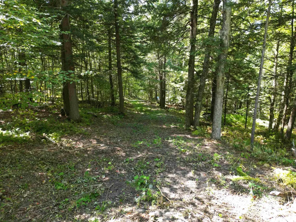 0 Angell Road Barnard VT 05091