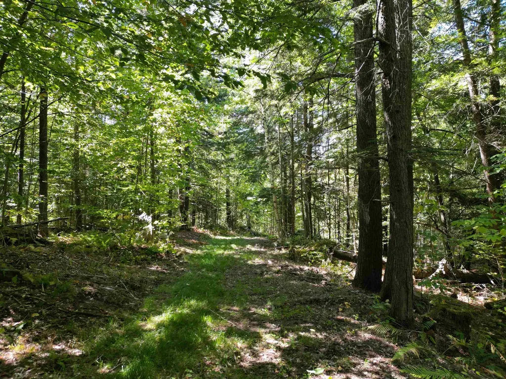 0 Angell Road Barnard VT 05091