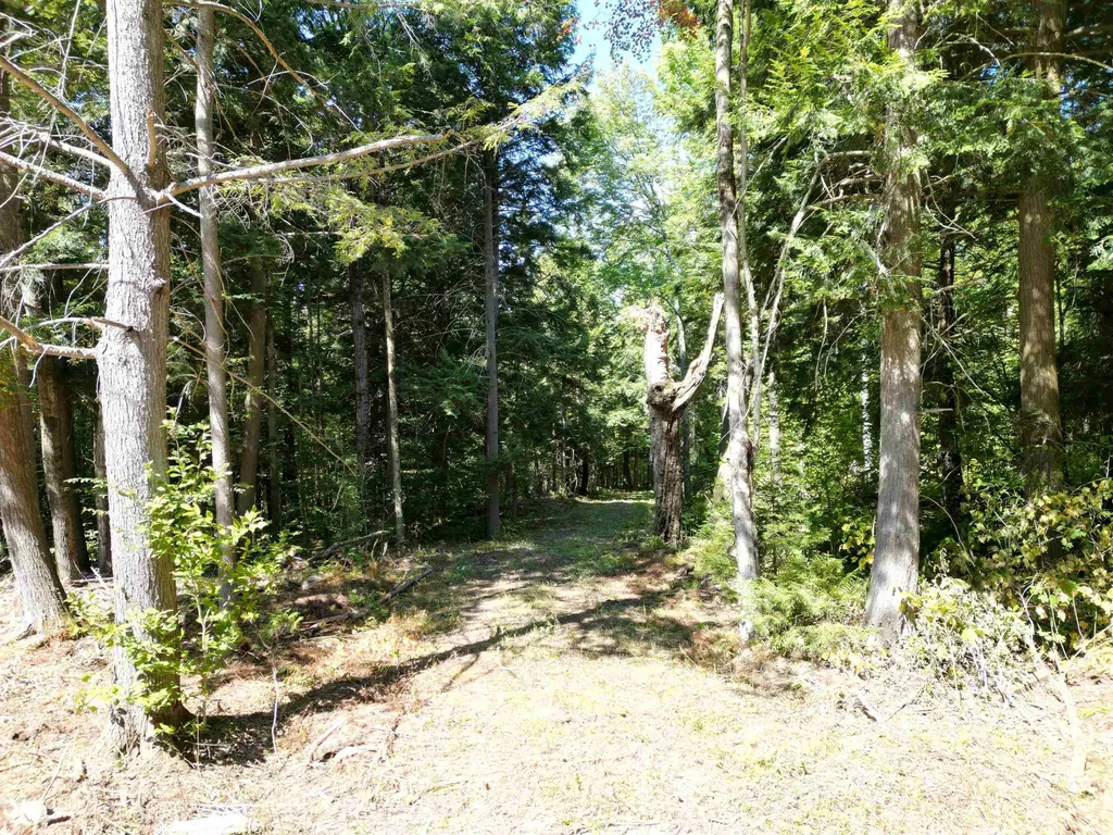 0 Angell Road Barnard VT 05091