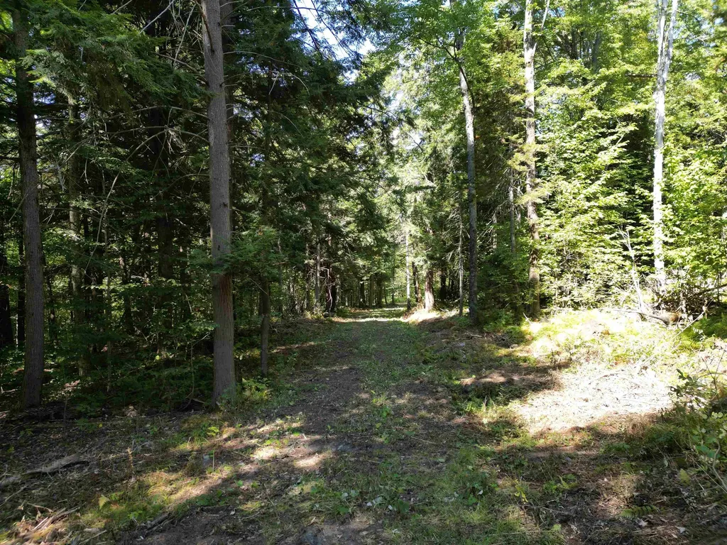 0 Angell Road Barnard VT 05091