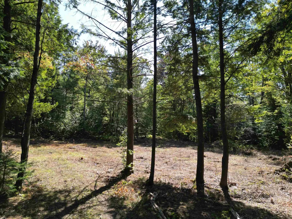 0 Angell Road Barnard VT 05091