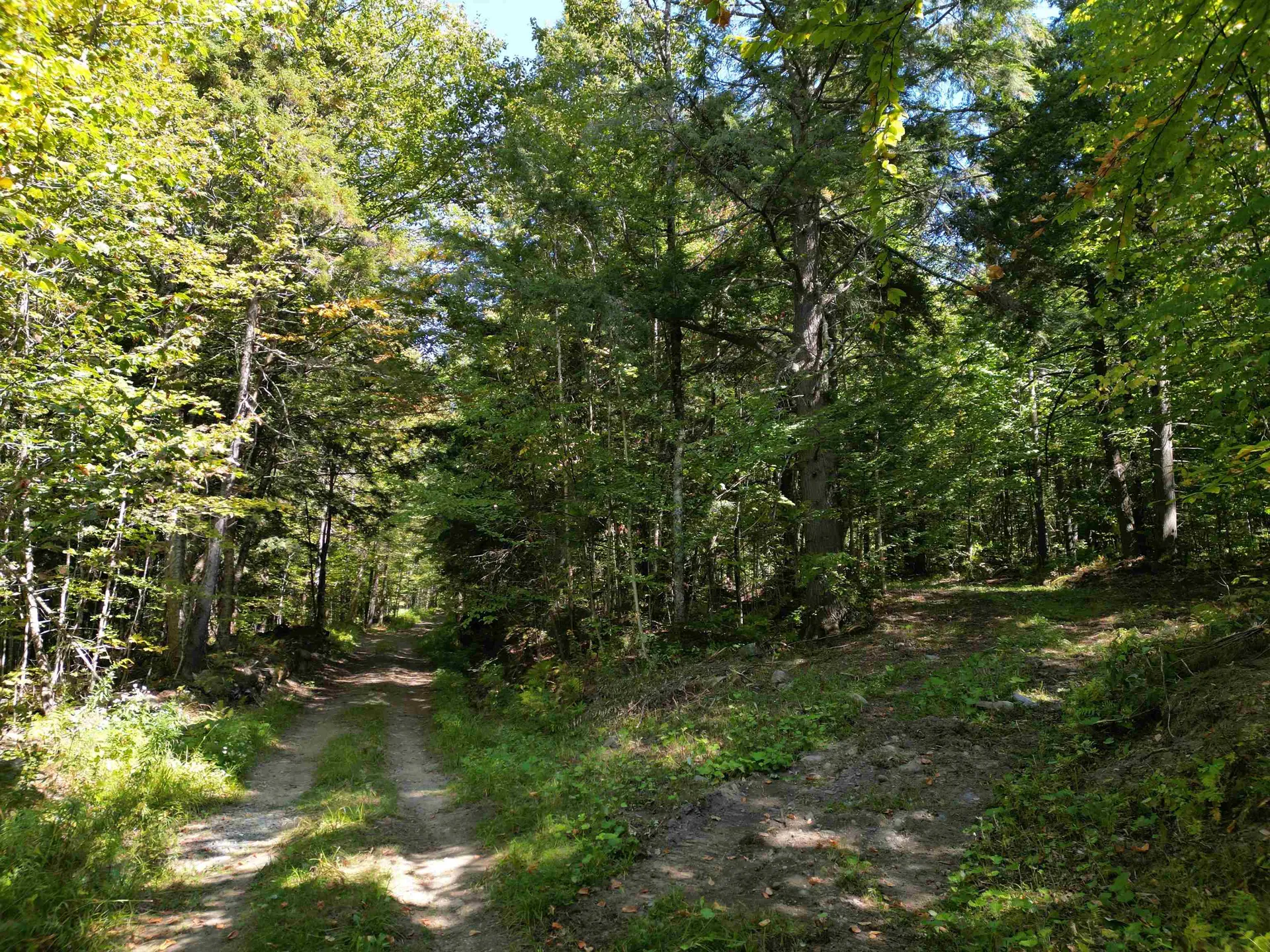 0 Angell Road Barnard VT 05091