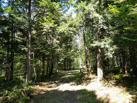 0 Angell Road Barnard VT 05091