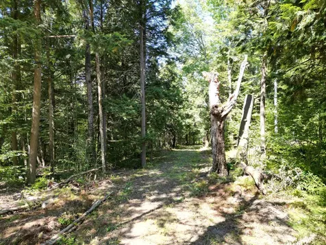 0 Angell Road Barnard VT 05091