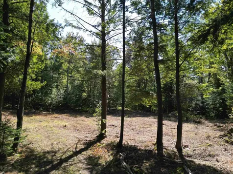 0 Angell Road Barnard VT 05091